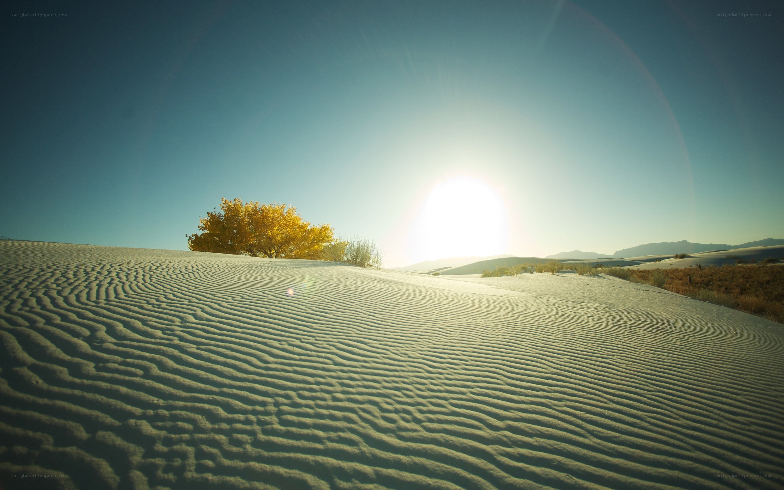 sandy dunes at sunrise