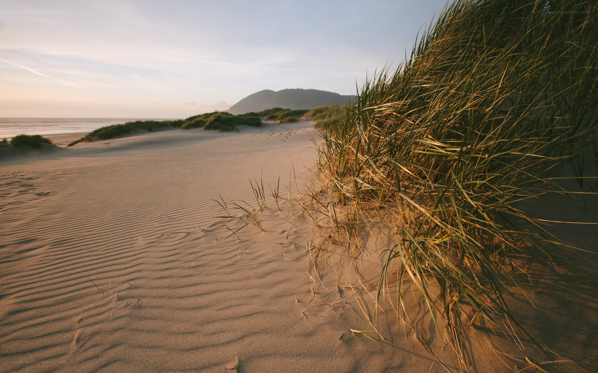 sandy dunes at sunset