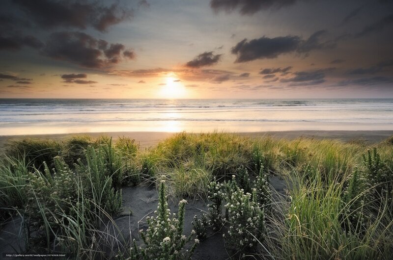 Sandy Dunes at Sunset — Green