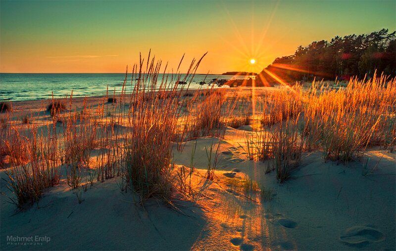 Sandy Dunes at Sunset — Orange, Serene