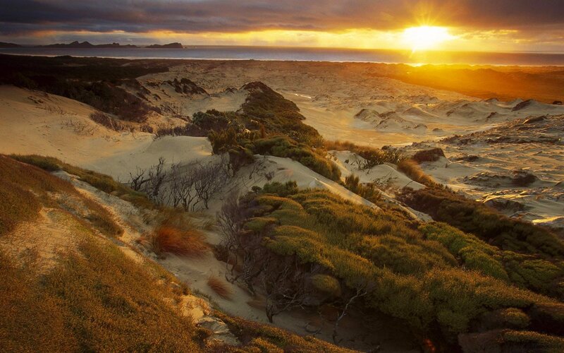 Sandy Dunes at Sunset — Yellow
