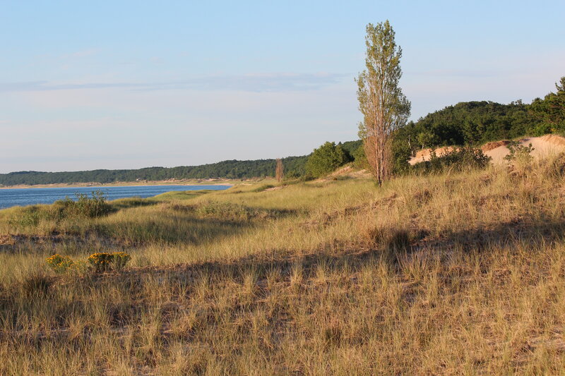 Sandy Dunes by Lake