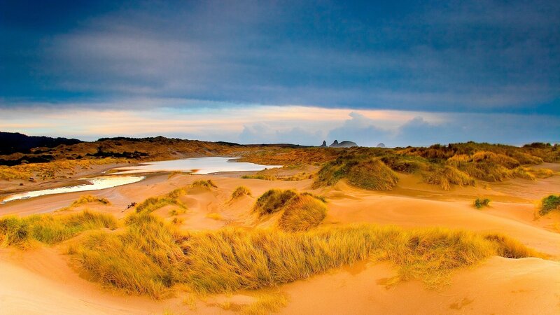 sandy dunes by the coast