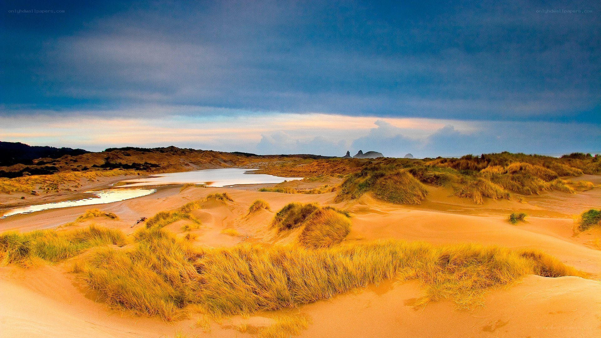 sandy dunes by the coast