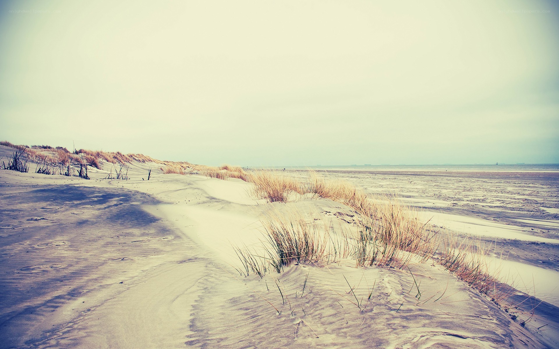 sandy dunes by the sea