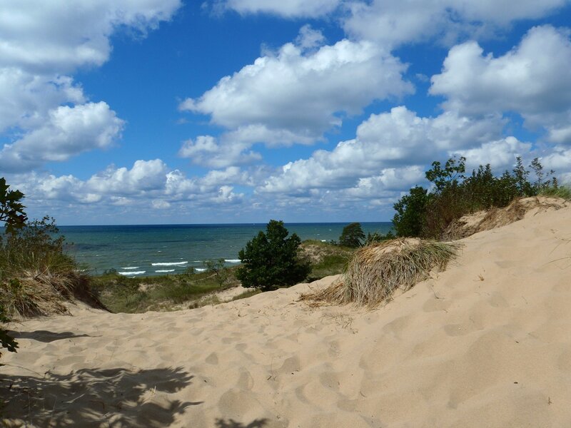 sandy dunes overlooking the ocean