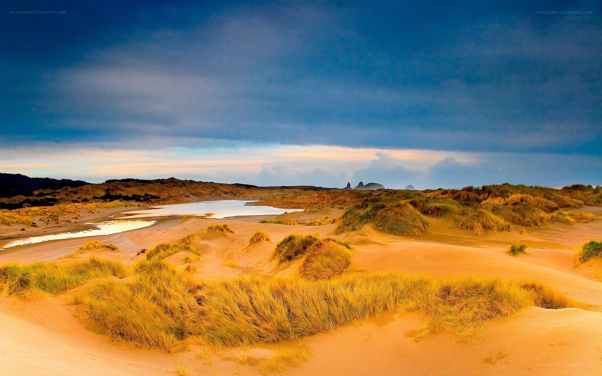 sandy dunes with grass and water