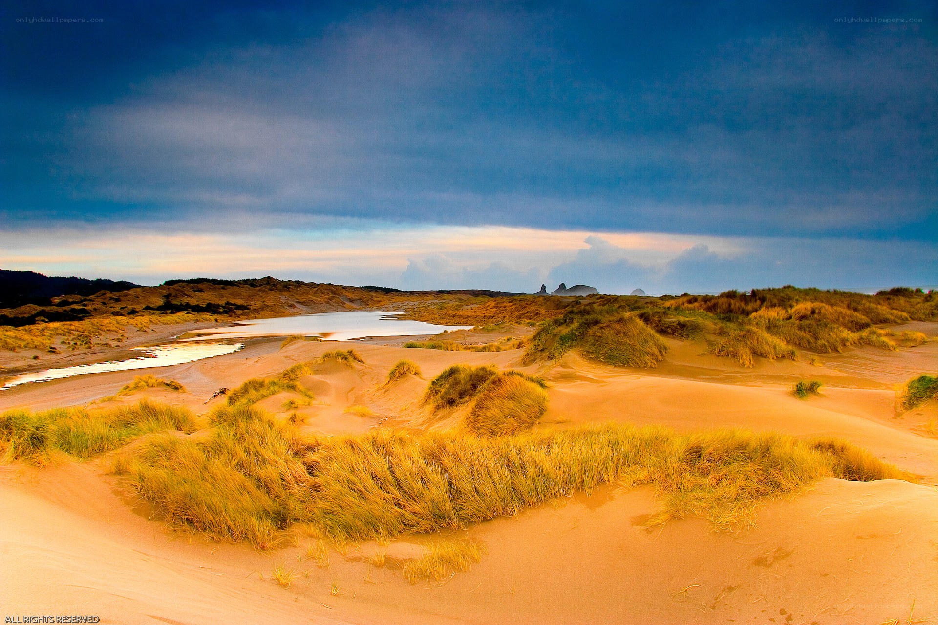 sandy dunes with grass and water