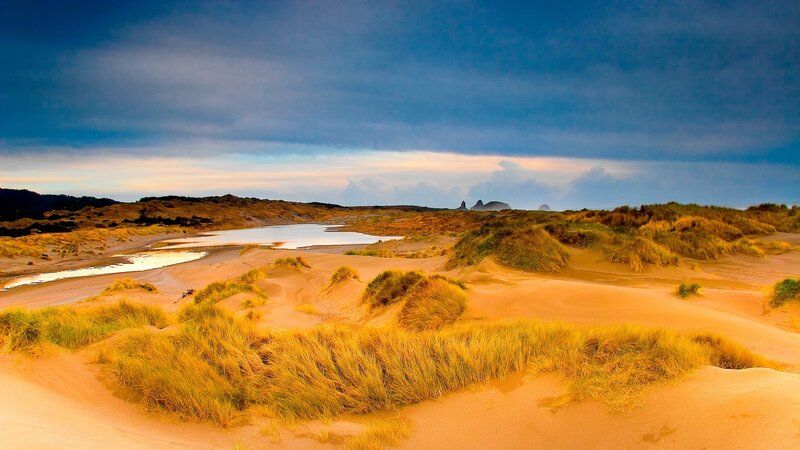 sandy dunes with grass and water