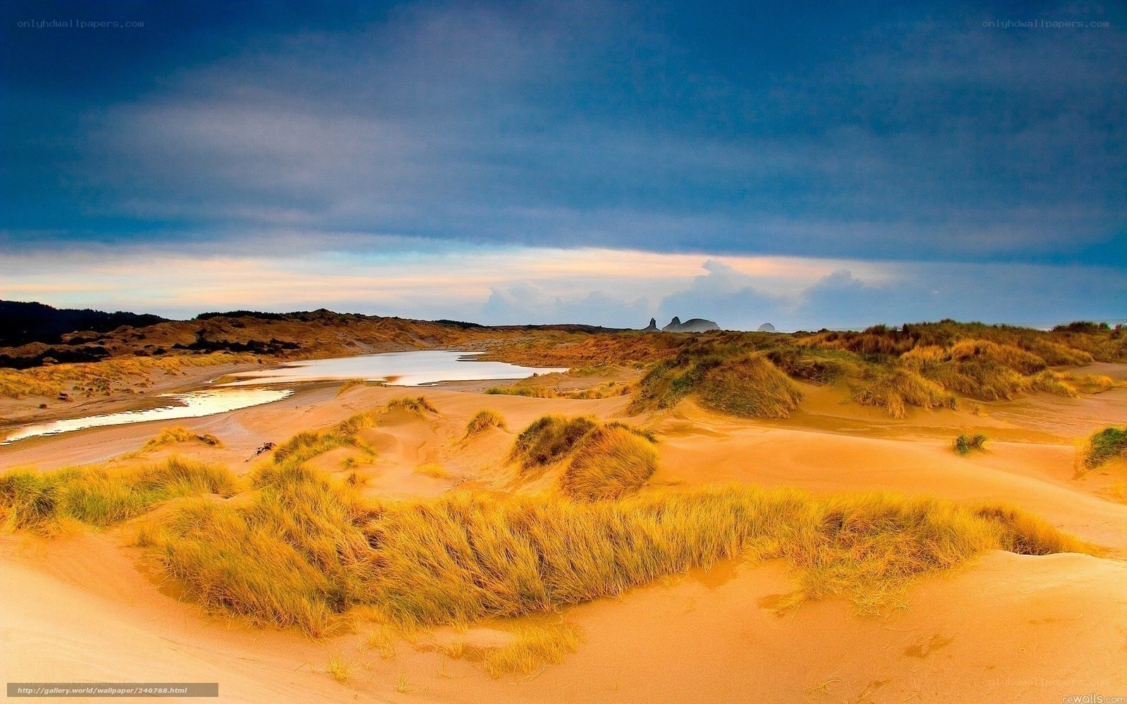 sandy dunes with grass and water