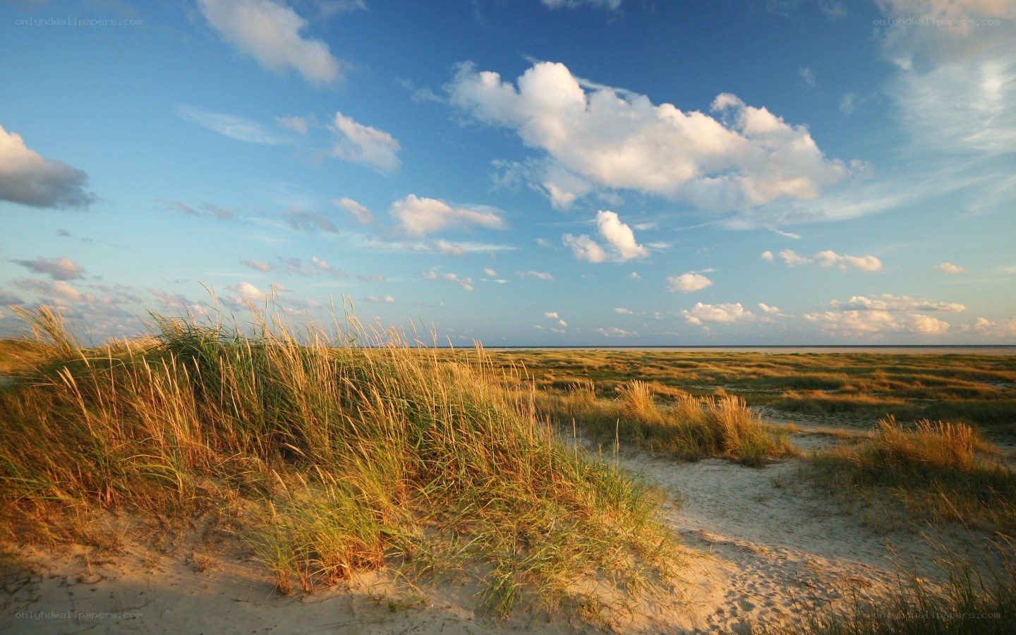 Sandy dunes with grass under blue sky