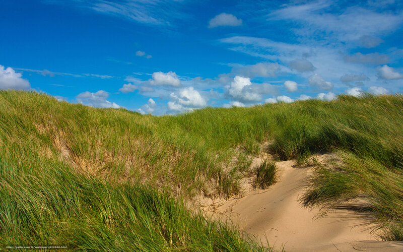 Sandy dunes with green grass