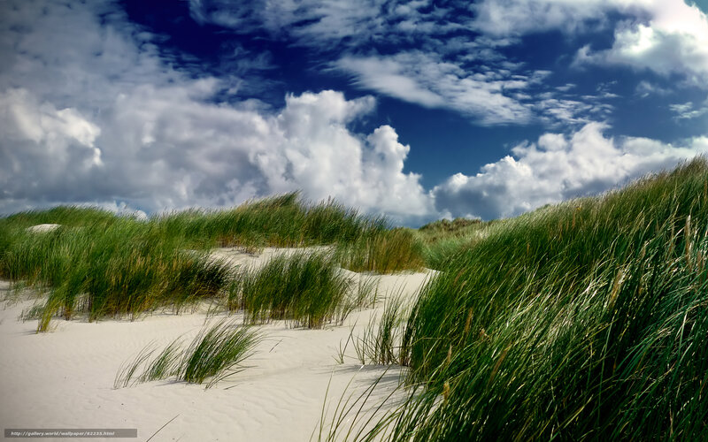 Sandy dunes with green grass