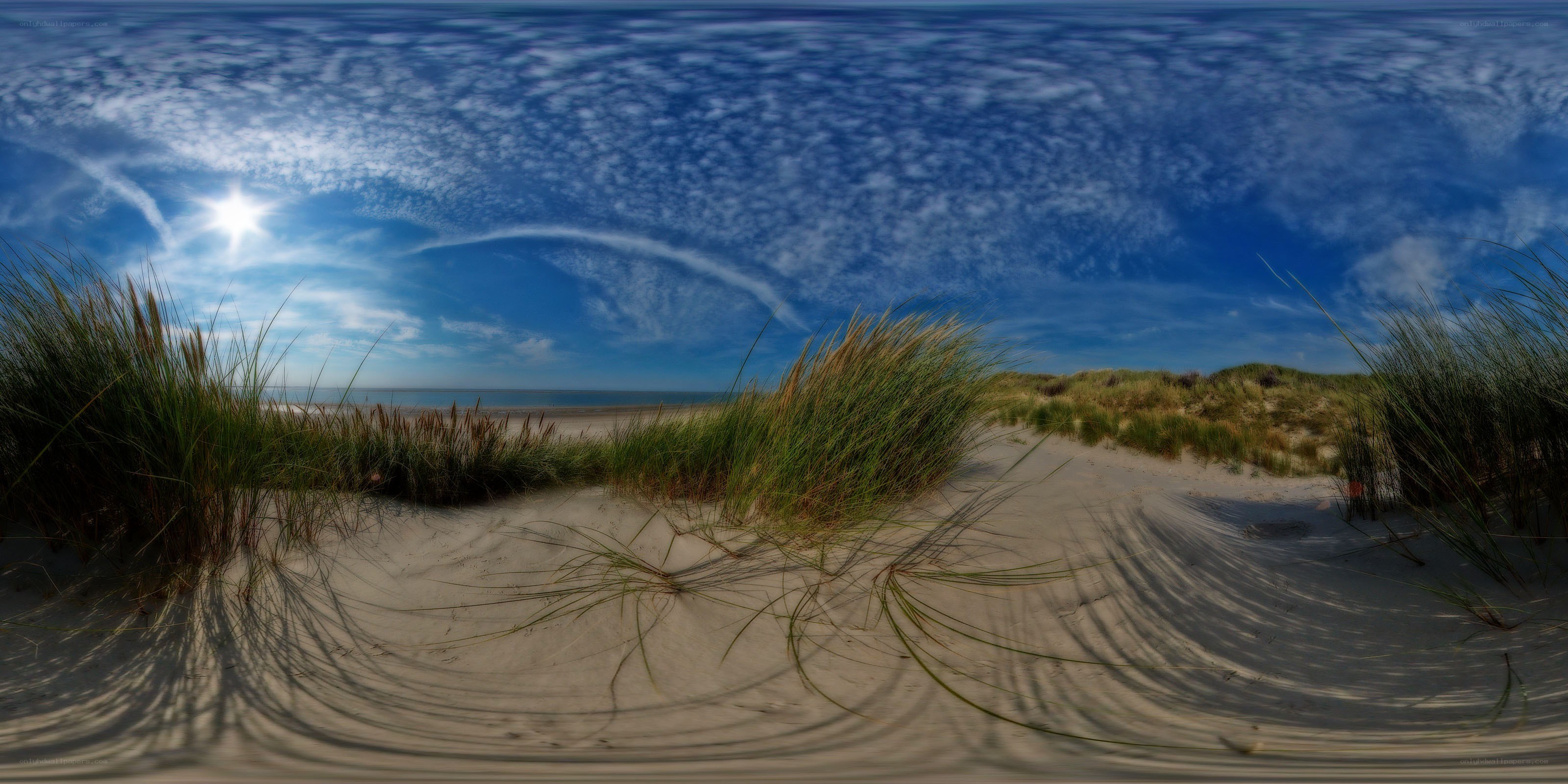 Sandy dunes with sea grass