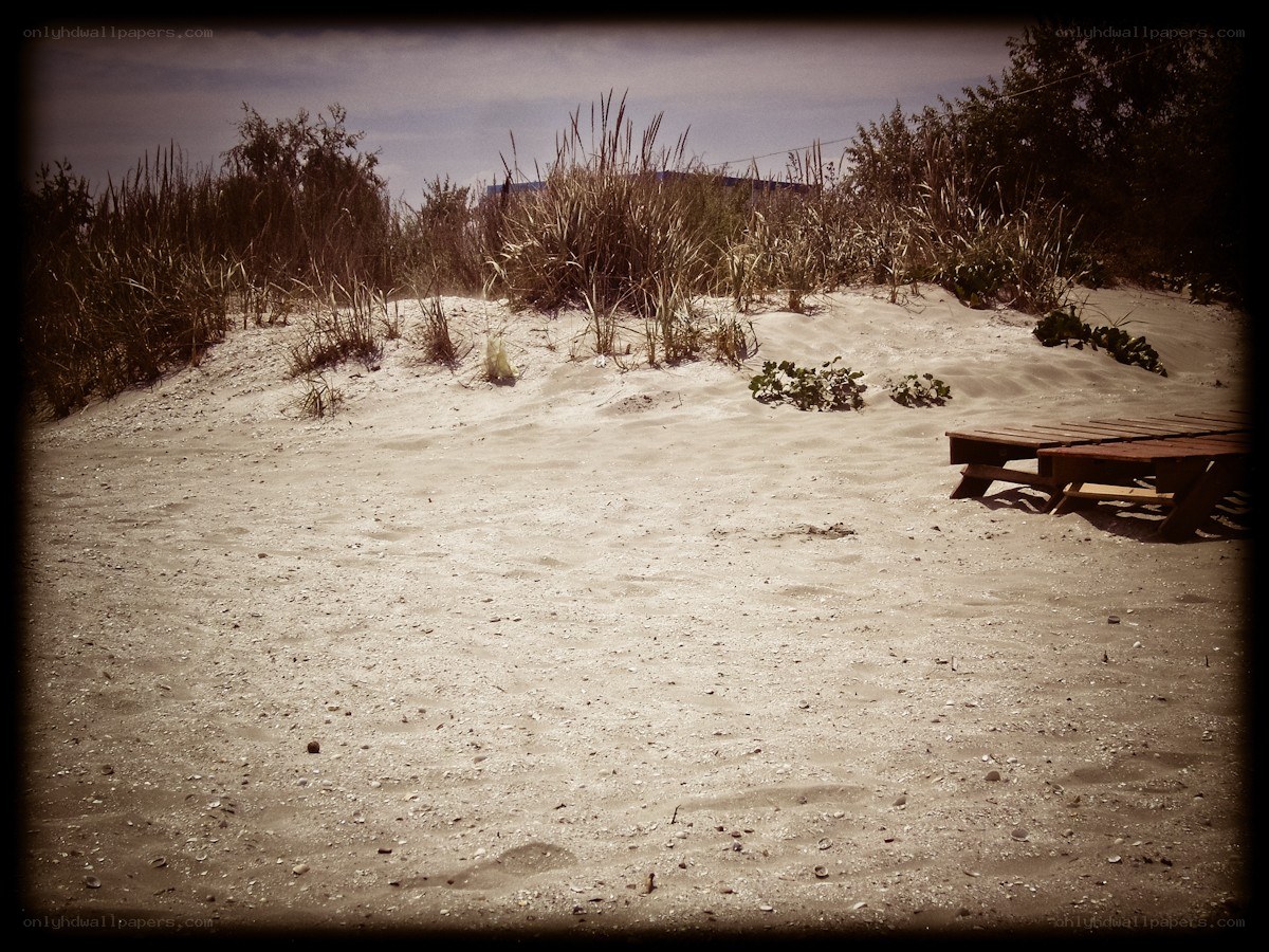 sandy dunes with wooden bench