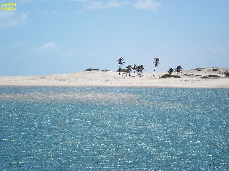 Sandy Island with Palm Trees