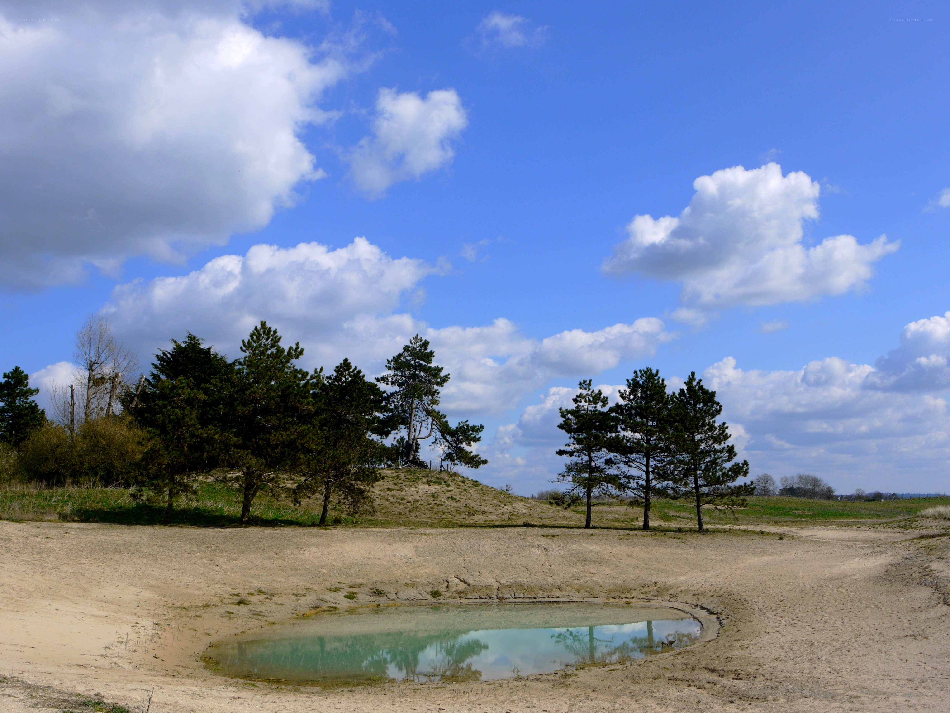 Sandy landscape with pond and trees