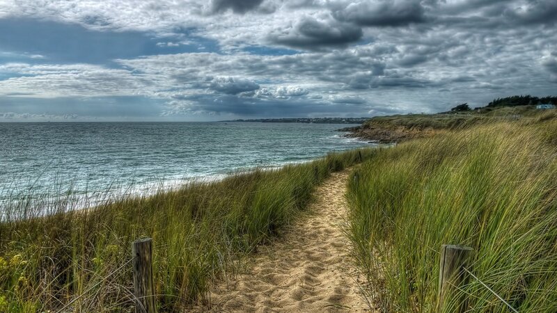 Sandy Path on Dunes