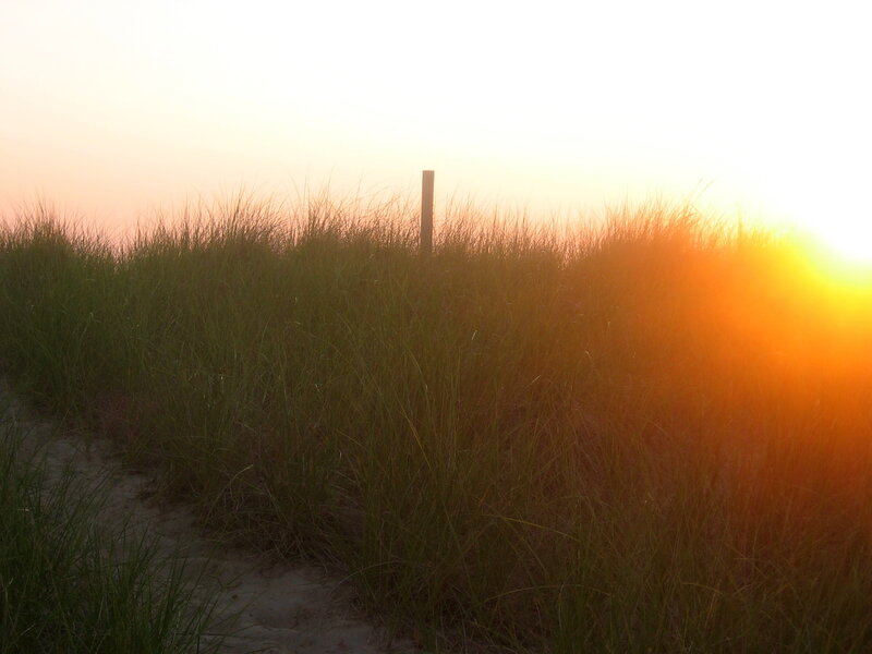 Sandy Path Through Dune Grass