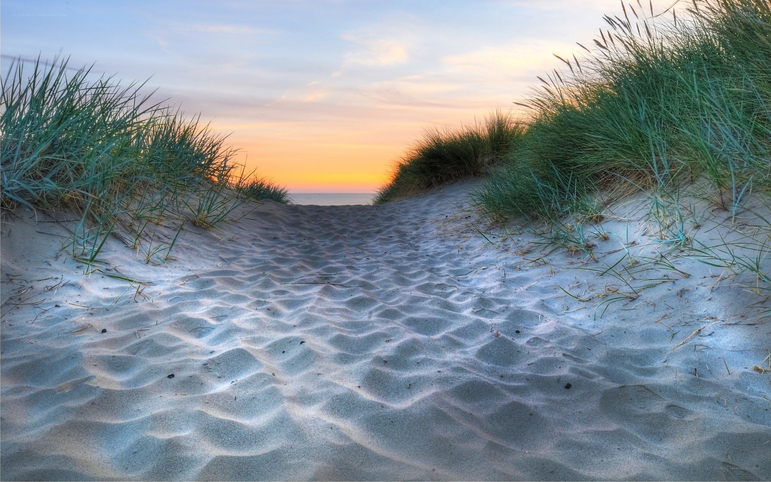 sandy path to the beach at sunset