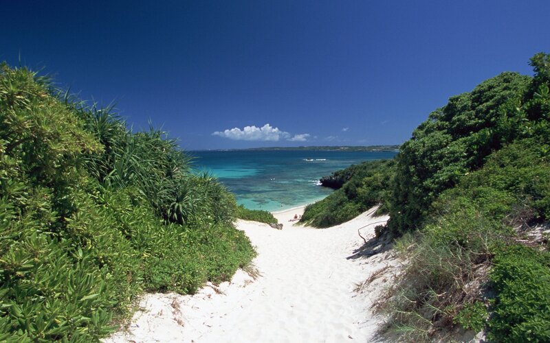 Sandy path to tropical beach
