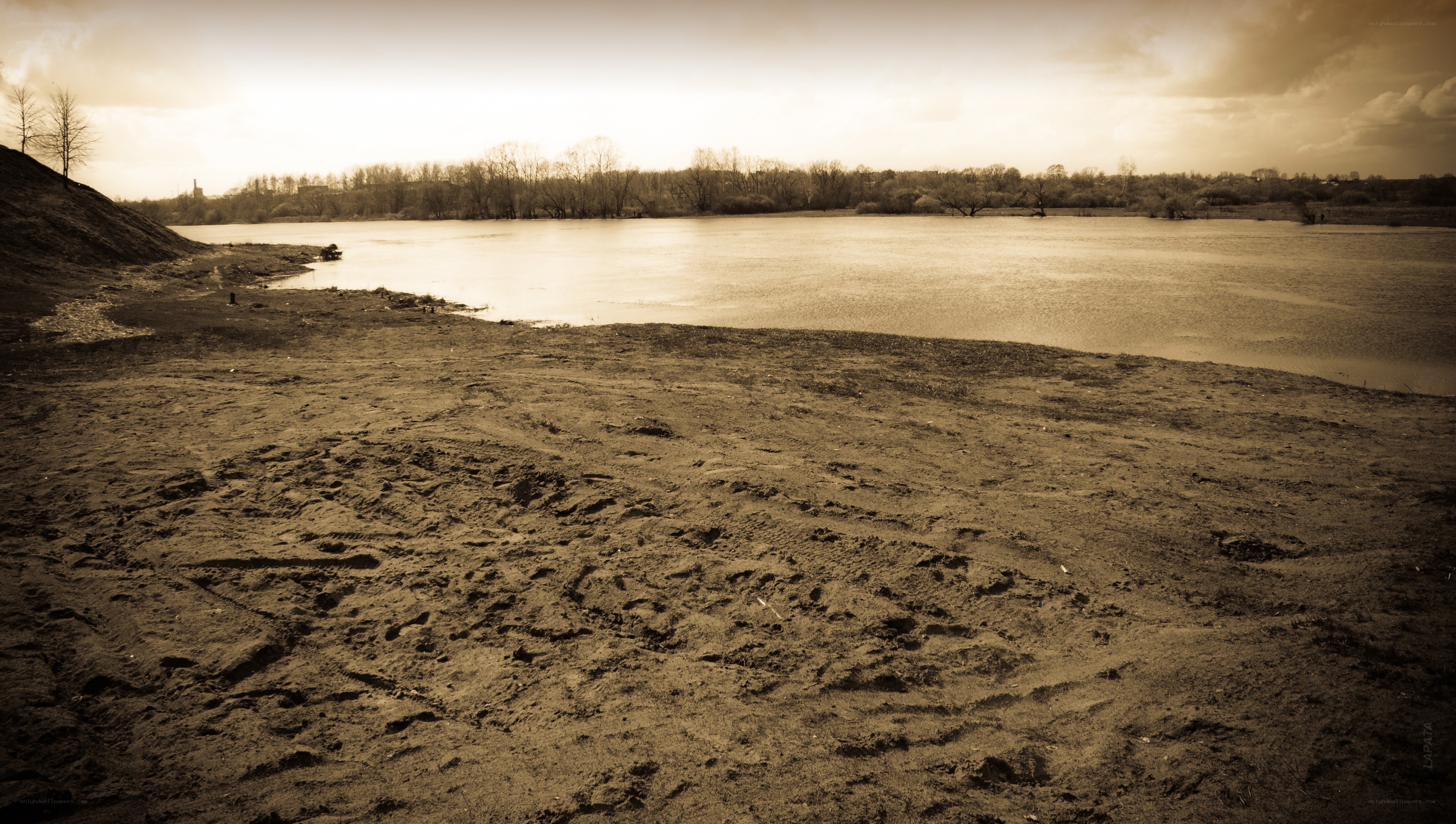 sandy shore by a calm lake