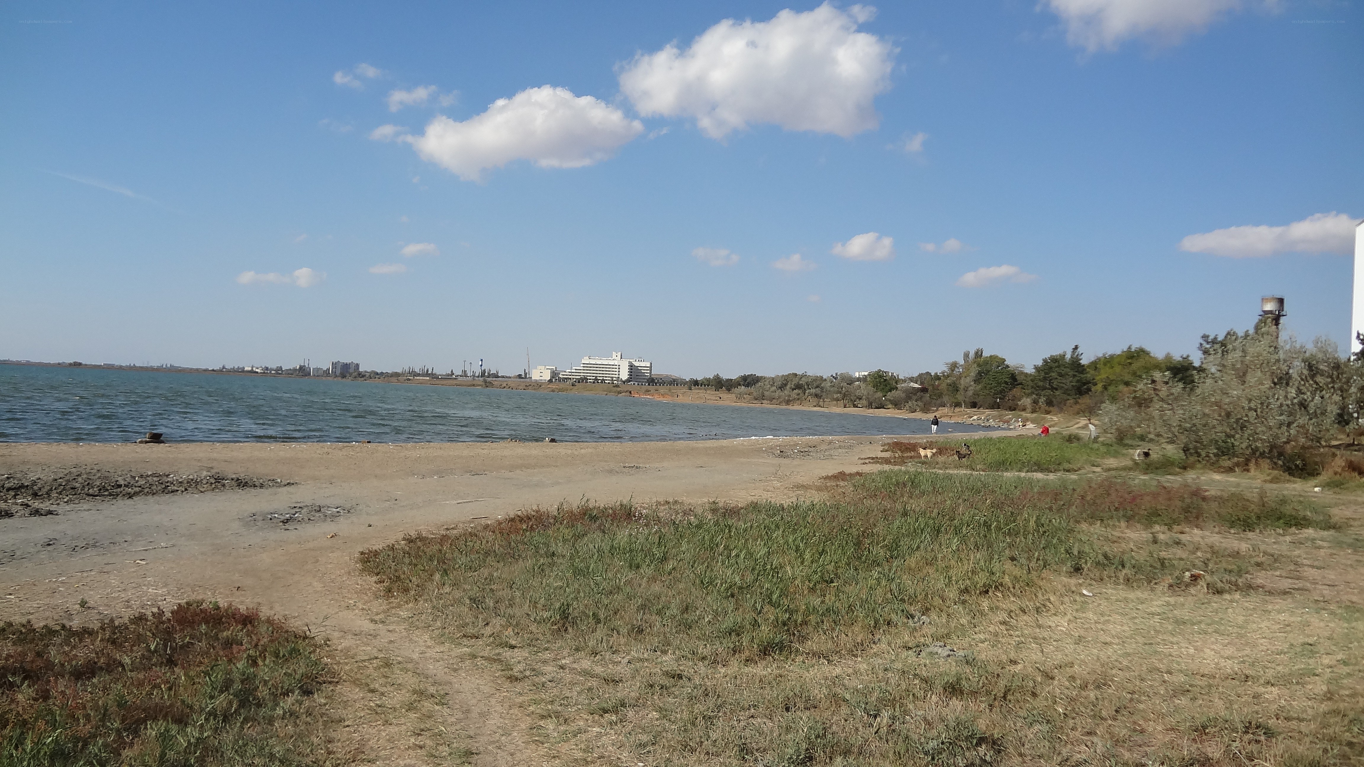Sandy shore by the water