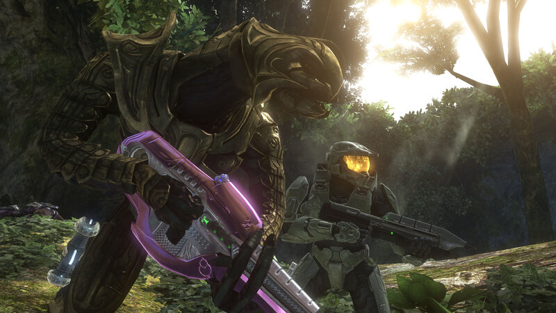 Sangheili and Marine