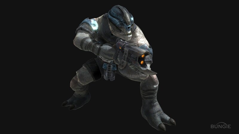 Sangheili Soldier — Gray