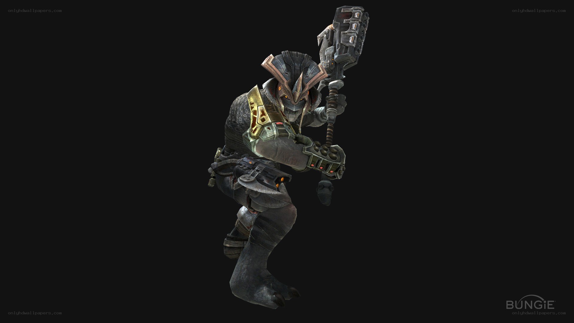 Sangheili warrior with hammer