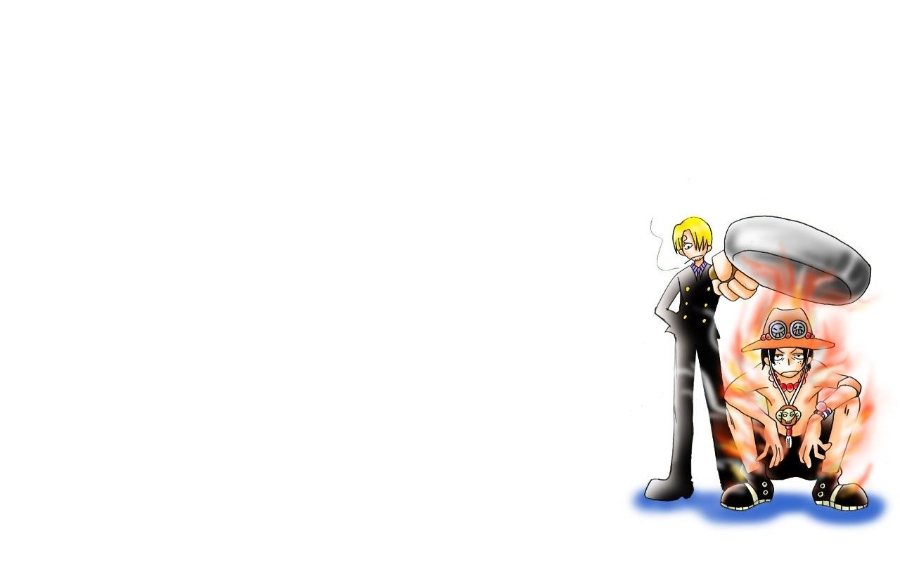 Sanji and Luffy in action