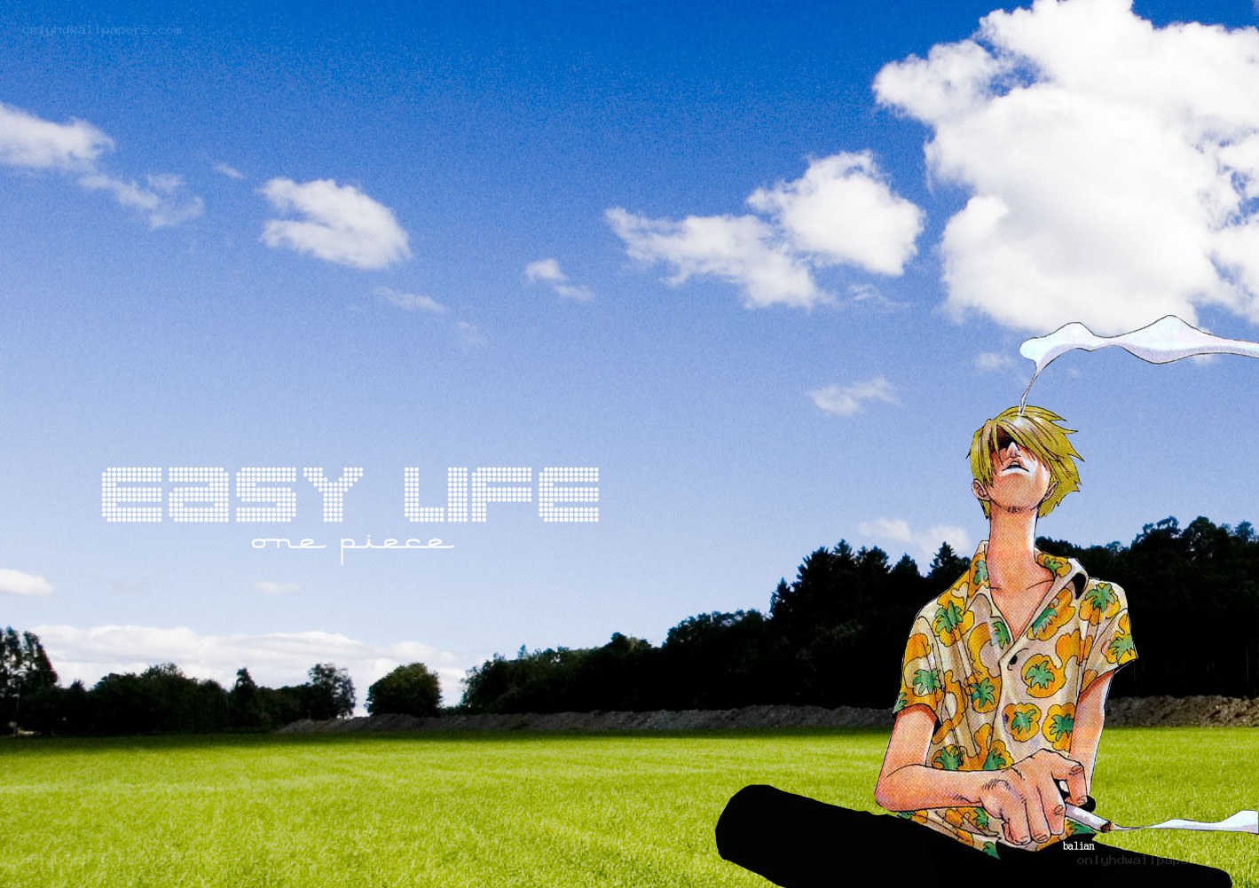 Sanji in a field