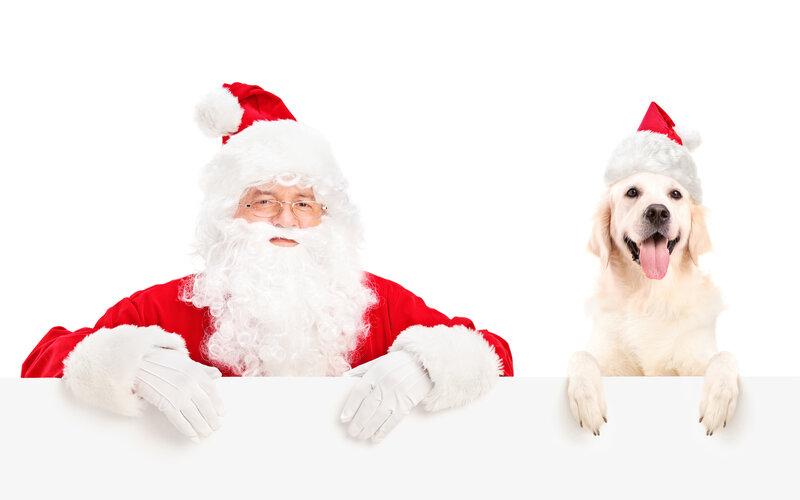 Santa Claus and Dog