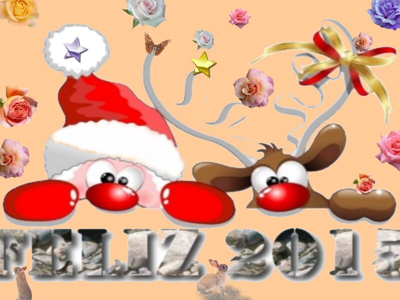 Santa Claus and Reindeer — Orange