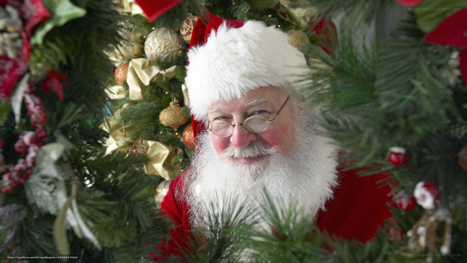 Santa Claus behind Christmas tree