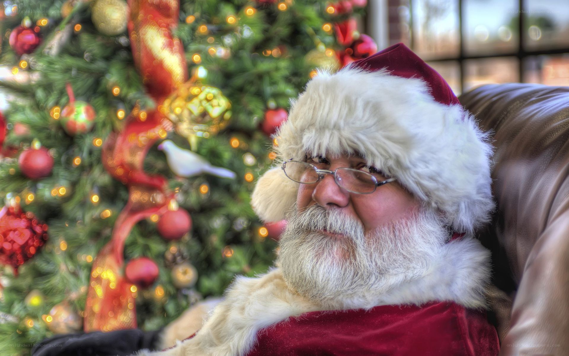 Santa Claus by Christmas tree