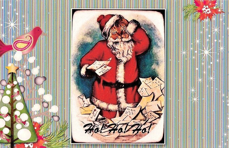 Santa Claus Cat