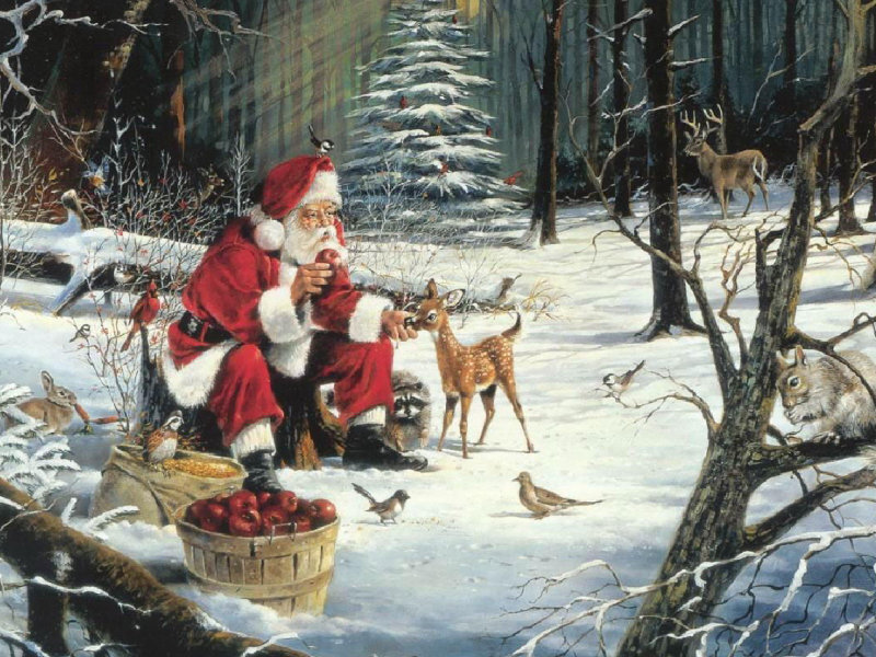 Santa Claus Feeding Animals