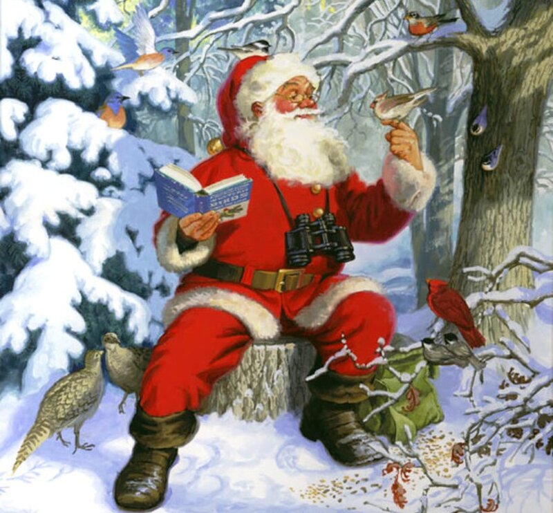 Santa Claus in Forest — Red
