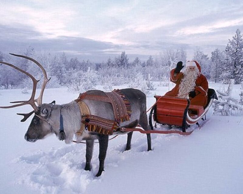 Santa Claus in reindeer sleigh