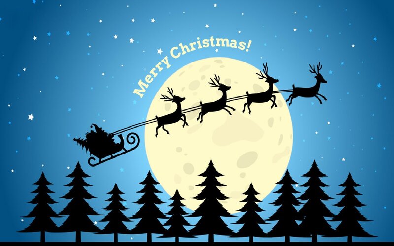 Santa Claus in Sleigh — Blue, Festive, Night, Vector Art, Reindeer, Moon, Trees