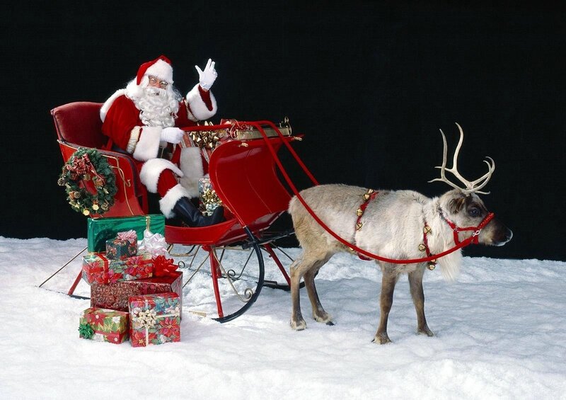Santa Claus in Sleigh — Festive
