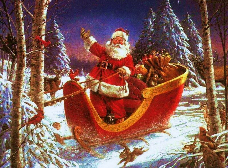 Santa Claus in Sleigh — Red, Festive, Night, Illustration, Birds
