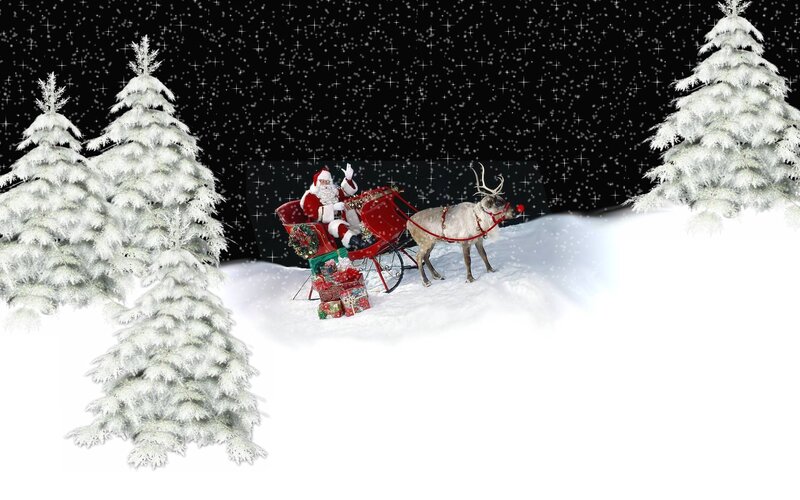 Santa Claus in Sleigh — White, Festive, Night, Digital Art, Reindeer