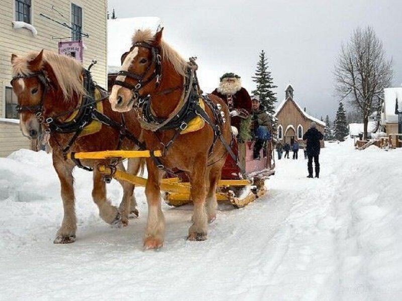 Santa Claus in Sleigh — White, Festive, Winter, Photograph