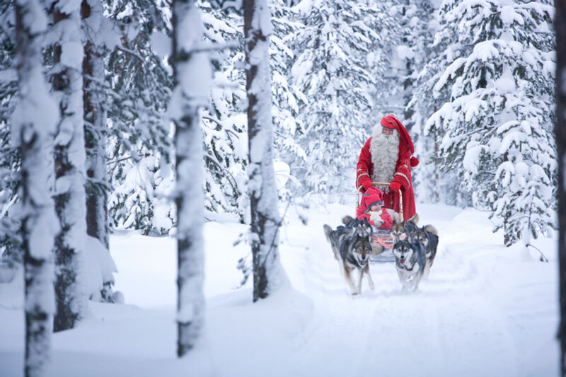 Santa Claus in Sleigh — White, Serene, Winter, Photograph