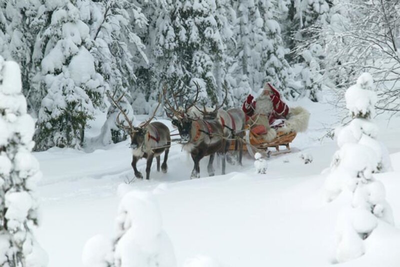 Santa Claus in Sleigh — White, Serene, Winter
