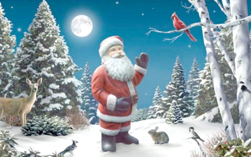 Santa Claus in Snow — White, Serene