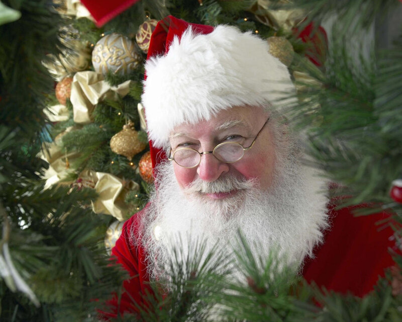 Santa Claus in Tree