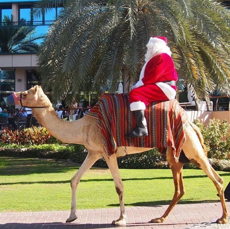 Santa Claus on Camel